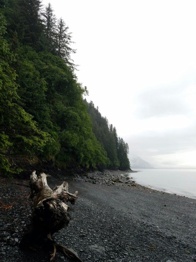 North Beach Walk
