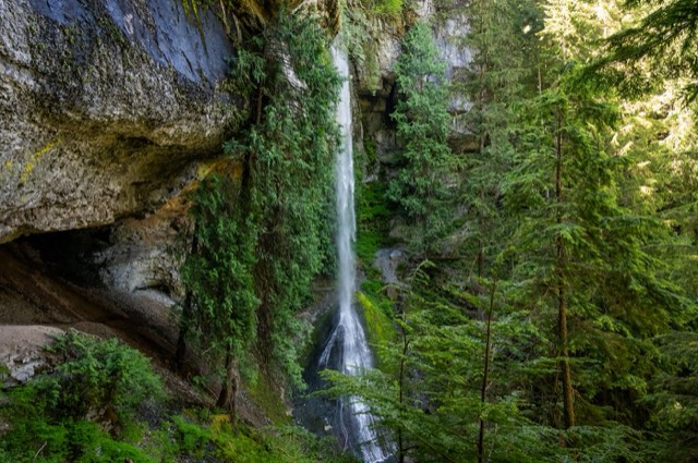 Rainforest & Falls