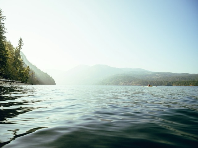 Inlet Paddle